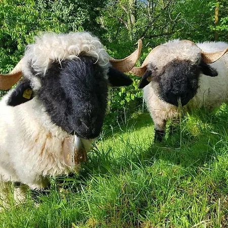 Apartamento Sandgrube 2- Og Sued By Interhome Mörel